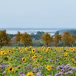 公寓 1 Wiek auf Rügen