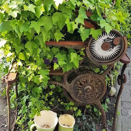 公寓 1 Wiek auf Rügen