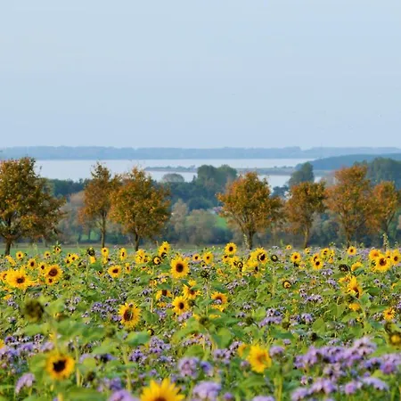 公寓 1 Wiek auf Rügen